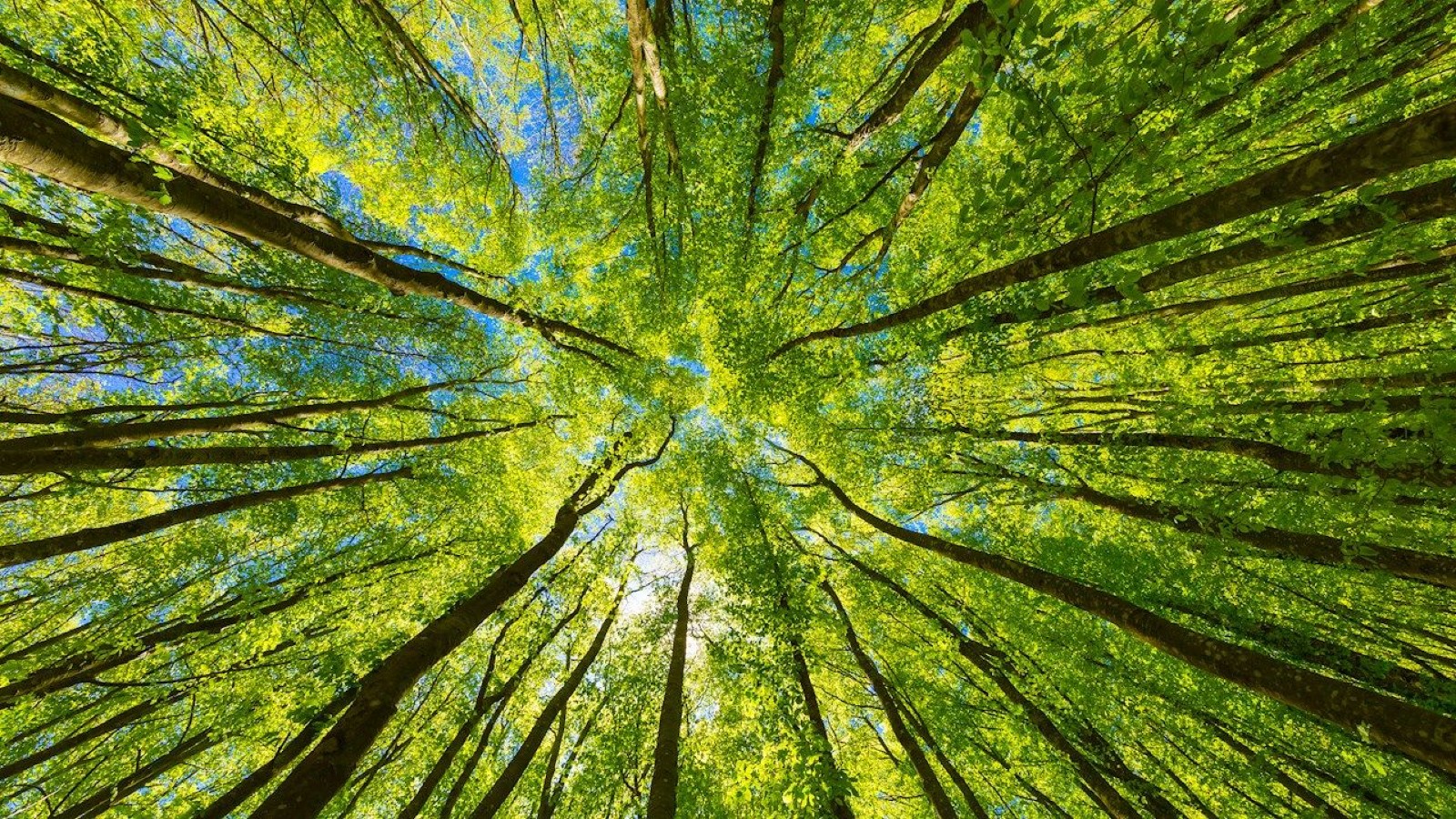 Η ABB ανάμεσα στις πιο βιώσιμες εταιρείες του κόσμου σύμφωνα με το TIME